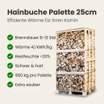 Palette kammergetrocknetes gespalten Hainbuche Brennholz 25cm – Bild 3